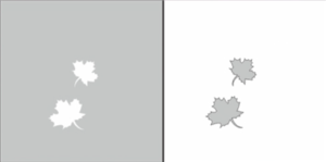 Airnails Airbrush Stencil autumn leaves 6pcs